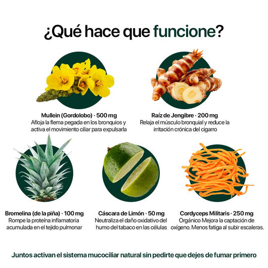 PulmoxClear® | Activador Mucociliar™ líquido para fumadores